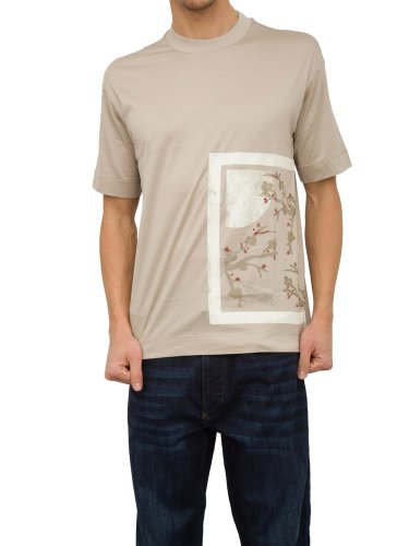 Мужская футболка EMPORIO ARMANI T-SHIRT TAUPE