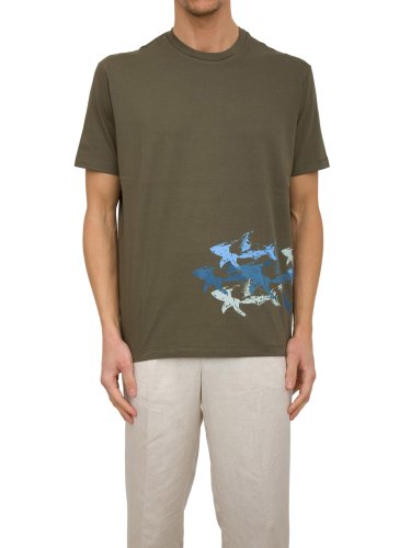 Чоловіча футболка PAUL&SHARK T-SHIRT COTONE VERDE