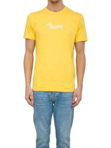 Чоловіча футболка HARMONT & BLAINE T-SHIRT GIALLO