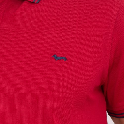 Мужское поло HARMONT & BLAINE POLO