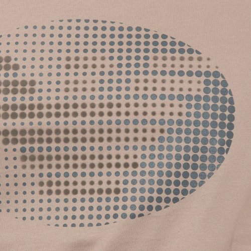 Мужская футболка EMPORIO ARMANI T-SHIRT GRIGIO
