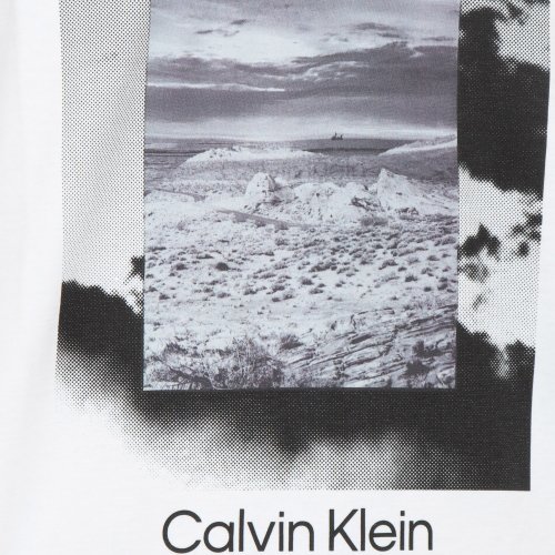 Чоловіча футболка  CALVIN KLEIN T-SHIRT