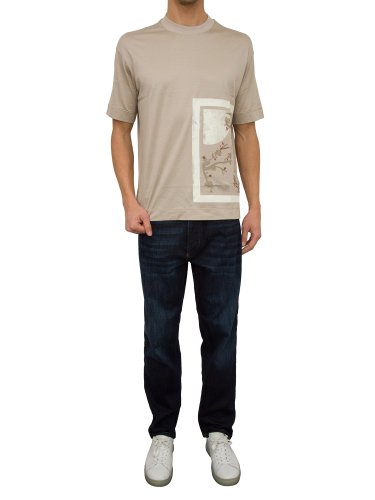 Мужская футболка EMPORIO ARMANI T-SHIRT TAUPE