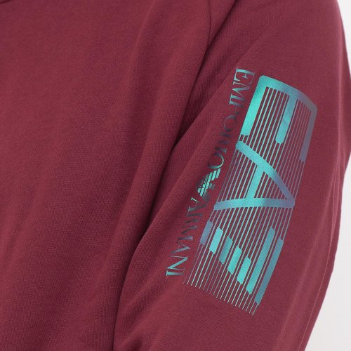 Чоловічий спортивний костюм EA7 EMPORIO ARMANI TRACKSUIT BORDEAUX
