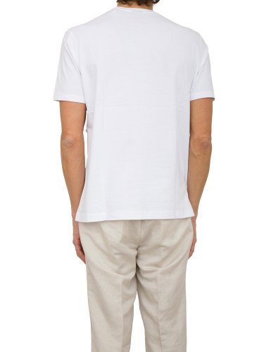 Чоловіча футболка PAUL&SHARK T-SHIRT COTONE BIANCO