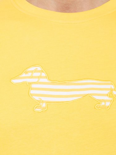 Чоловіча футболка HARMONT & BLAINE T-SHIRT GIALLO