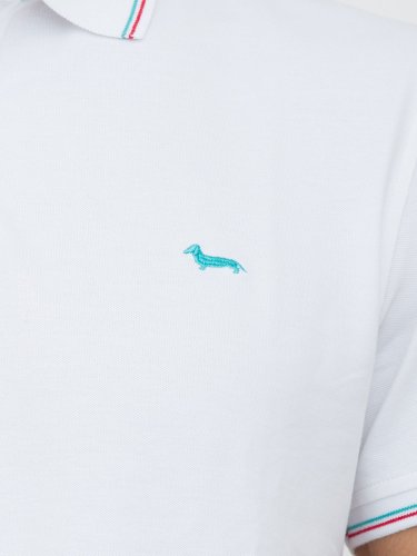Чоловіче поло HARMONT & BLAINE POLO BIANCO