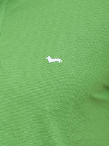 Чоловіче поло HARMONT & BLAINE POLO VERDE