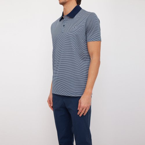 Чоловіче поло PAUL&SHARK POLO IN COTONE BLU