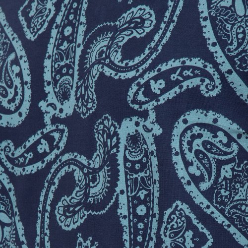 Мужская футболка ETRO T-SHIRT ROMA M/C BLU